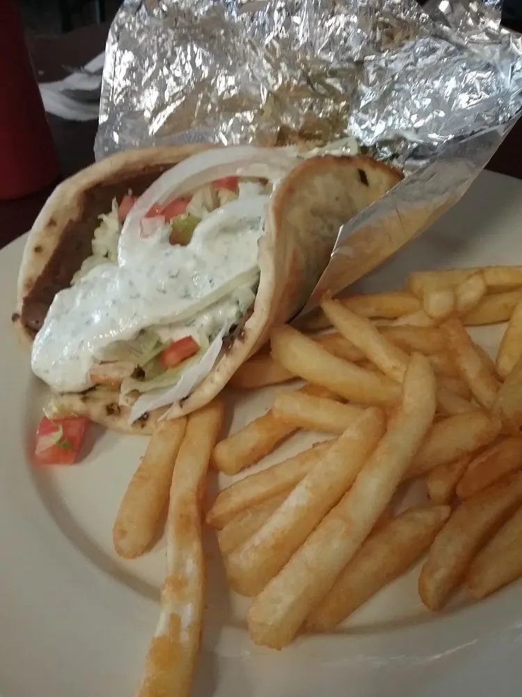 Gyro Plate